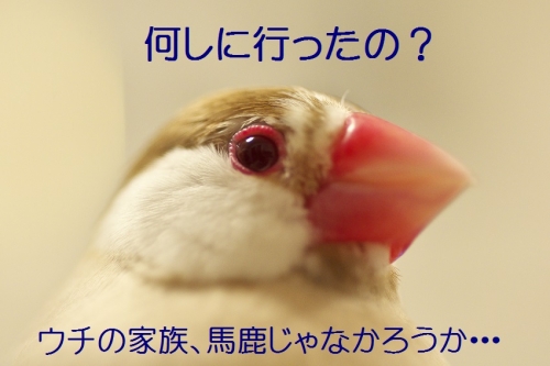 190_20140205205338bef.jpg