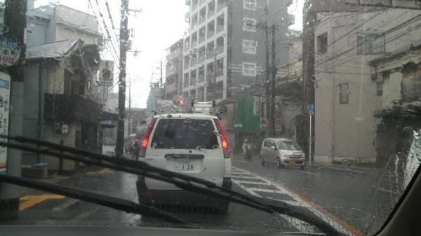 ゴリラ豪雨P1000016(12)