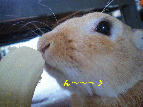 1371623612PbkMooOOCjVexyk1371623611.gif