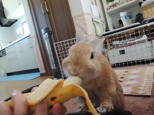 プレゼント9