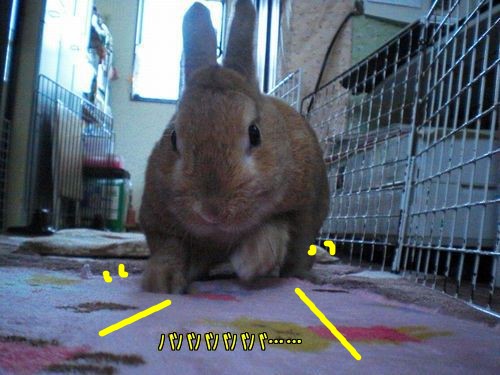 ほりほり6