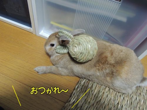 ばなな10