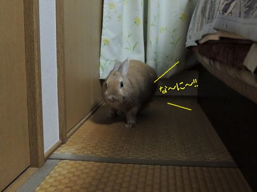よる6