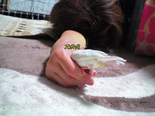 じゃま7
