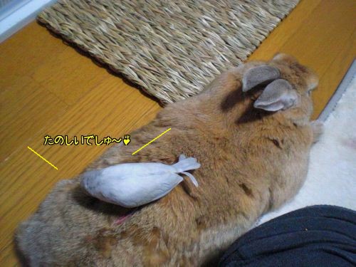 じゃま10