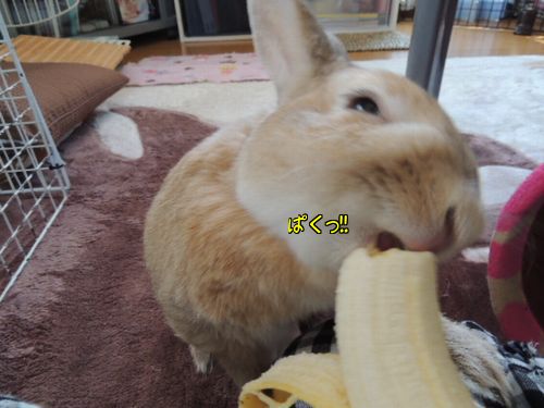 ひとりで2