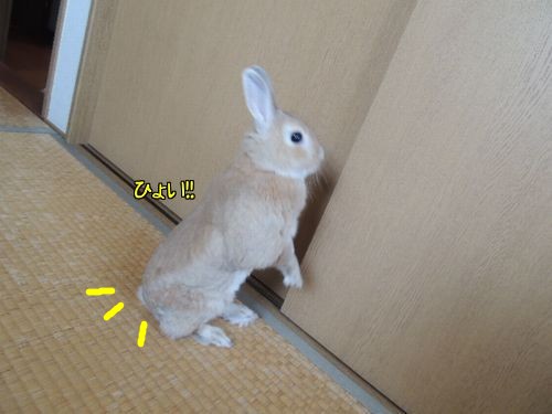 ひとりで9