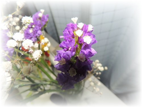 野菜8