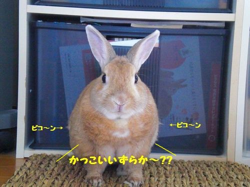 たいちょう3