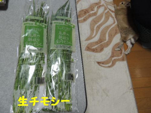 葉3