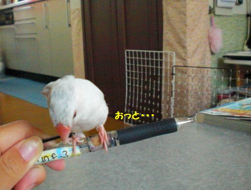 まつ7