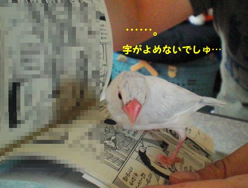 すずしい10