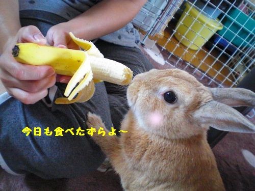 カード8