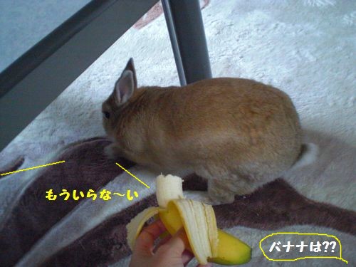 朝ばな6