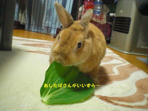 カレンダー2
