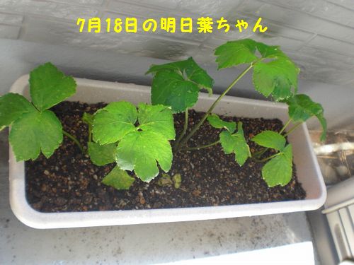 病気5