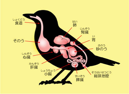 naizou01.jpg