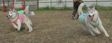 131123-15.jpg