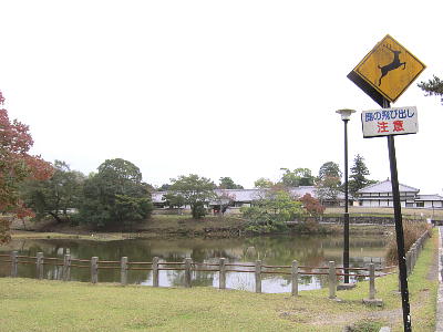 111103_09.jpg
