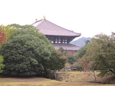 111103_10.jpg