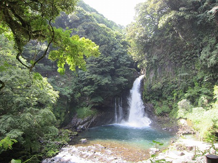 河津七滝 14