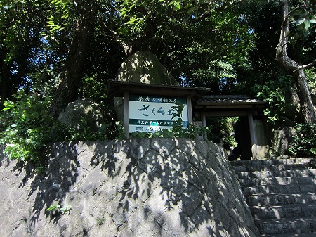 さくら坂 1