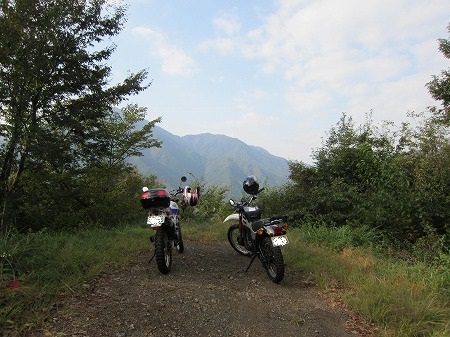 野原林道 3
