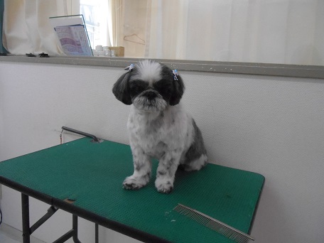 DSCN3470.jpg