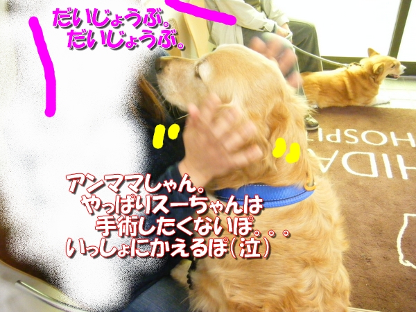 DSCF0025.jpg