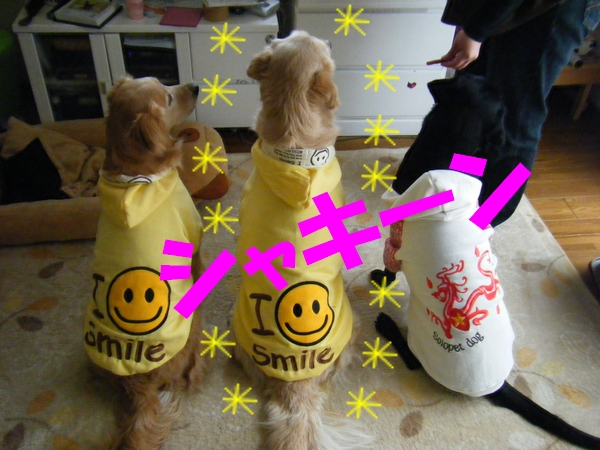 DSCF5484.jpg