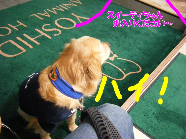 DSCF5521.jpg