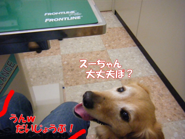 DSCF5538.jpg