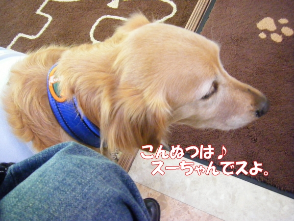 DSCF5548.jpg