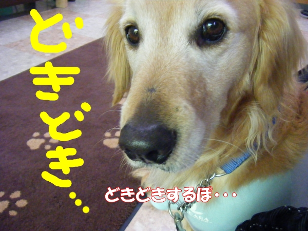 DSCF5550.jpg