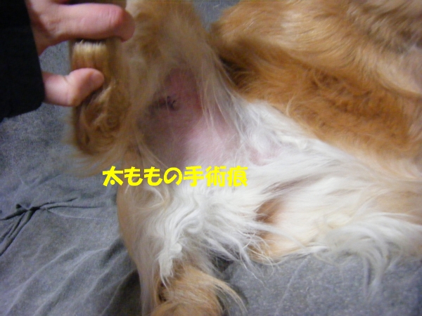 DSCF5569.jpg