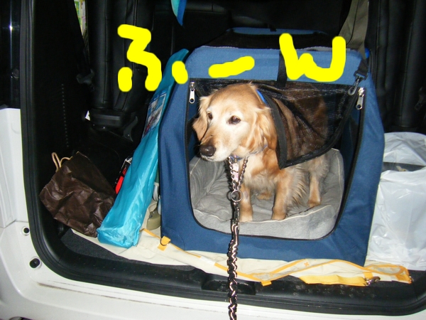DSCF5585.jpg
