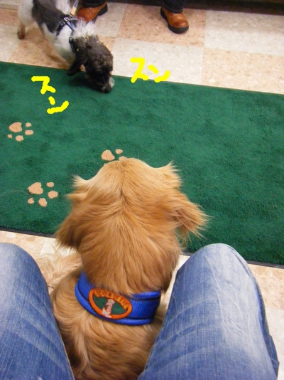 DSCF5616.jpg