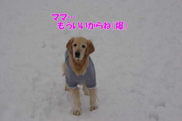 IMGP0097.jpg