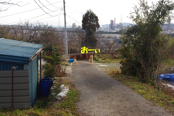 IMGP5540.jpg