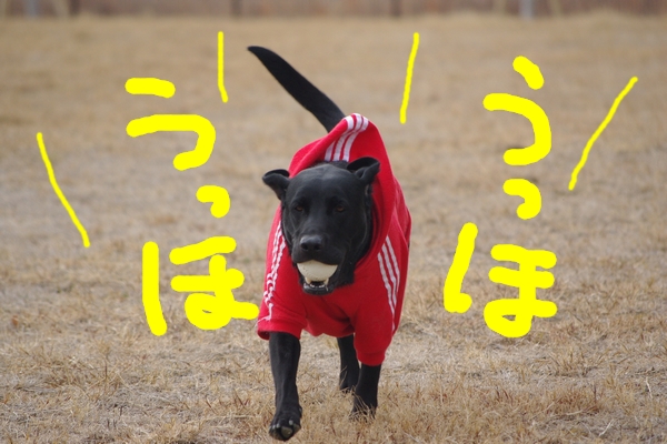 IMGP5625_20120305011026.jpg