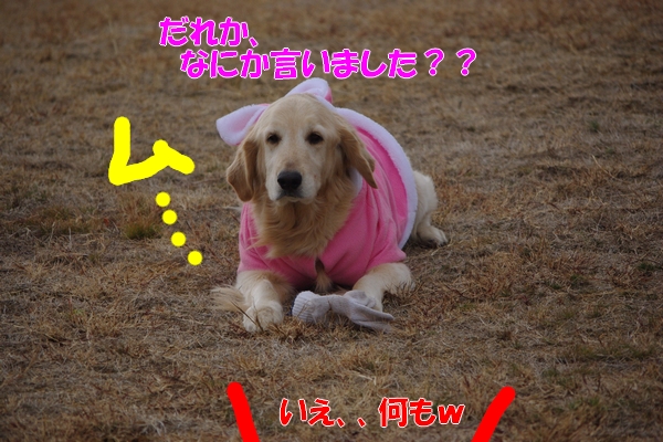 IMGP5661_20120306000908.jpg