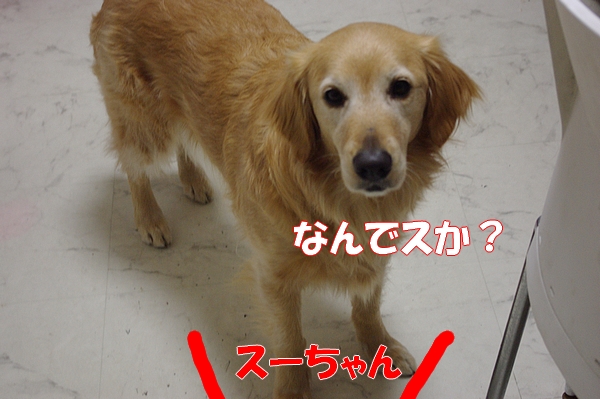IMGP5832.jpg