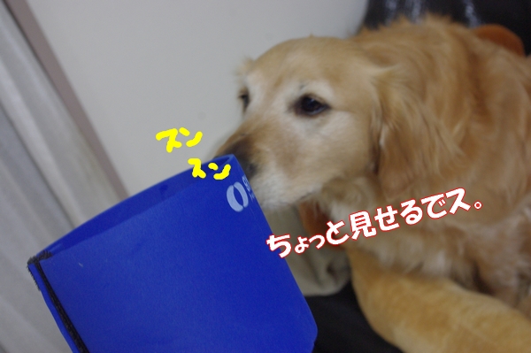 IMGP6185.jpg