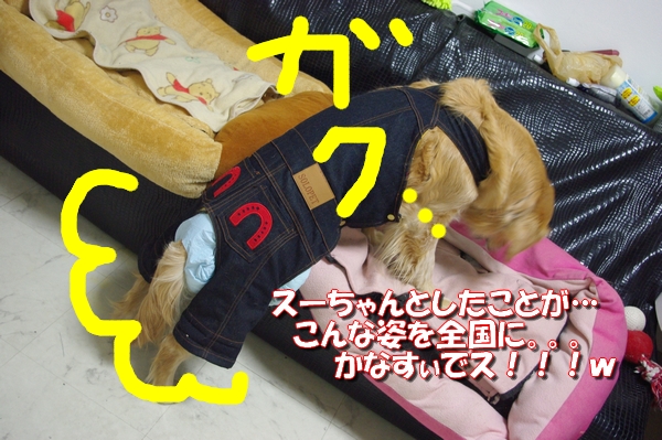 IMGP6255.jpg