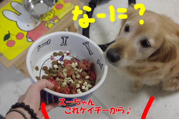 IMGP6257.jpg