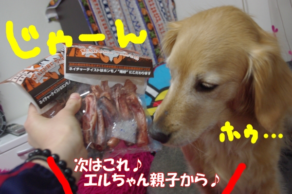 IMGP6288.jpg