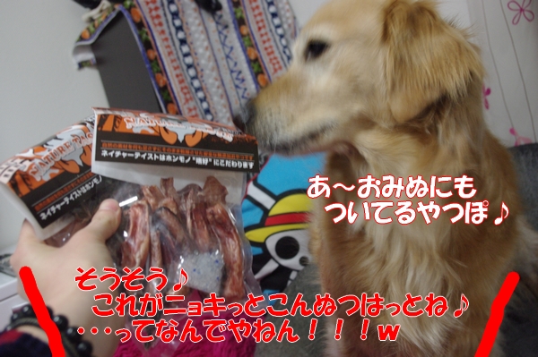 IMGP6293_20120410004918.jpg
