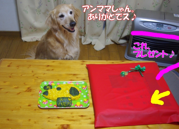 IMGP8324.jpg