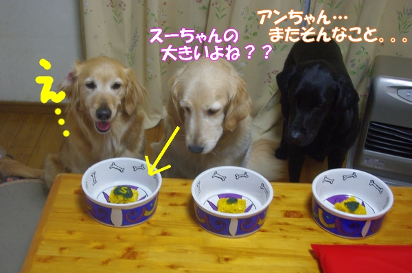IMGP8360.jpg