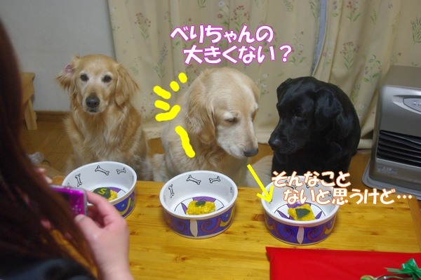 IMGP8369.jpg